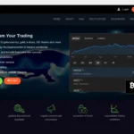 Главная страница bigfxgains.com — обзор брокера-мошенника и отзывы клиентов