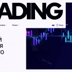 Обзор брокера amaxloyalty.co — анализ отзывов и проблем с выводом средств