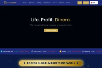 Обзор брокера Dineromarkets.com: отзывы и информация о компании