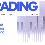 Главная страница narindoinc.com — обзор сайта, отзывы клиентов и информация о возможных рисках и признаках мошенничества