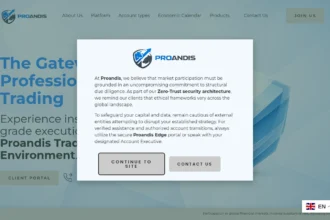 Обзор сайта www.proandis.com , отзывы пользователей и опыт использования