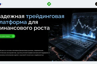 Обзор сайта dyzni.net – отзывы клиентов и особенности вывода средств