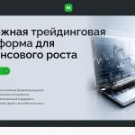 Обзор платформы netsutama.net – отзывы пользователей и вопросы вывода средств
